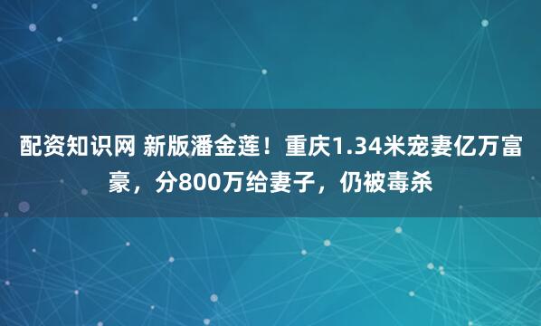 配资知识网 新版潘金莲！重庆1.34米宠妻亿万富豪，分800万给妻子，仍被毒杀