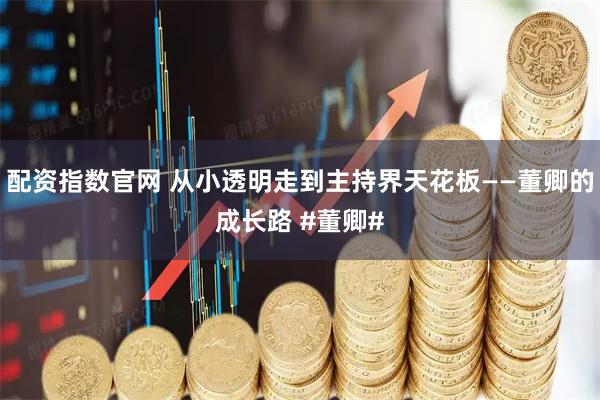 配资指数官网 从小透明走到主持界天花板——董卿的成长路 #董卿#