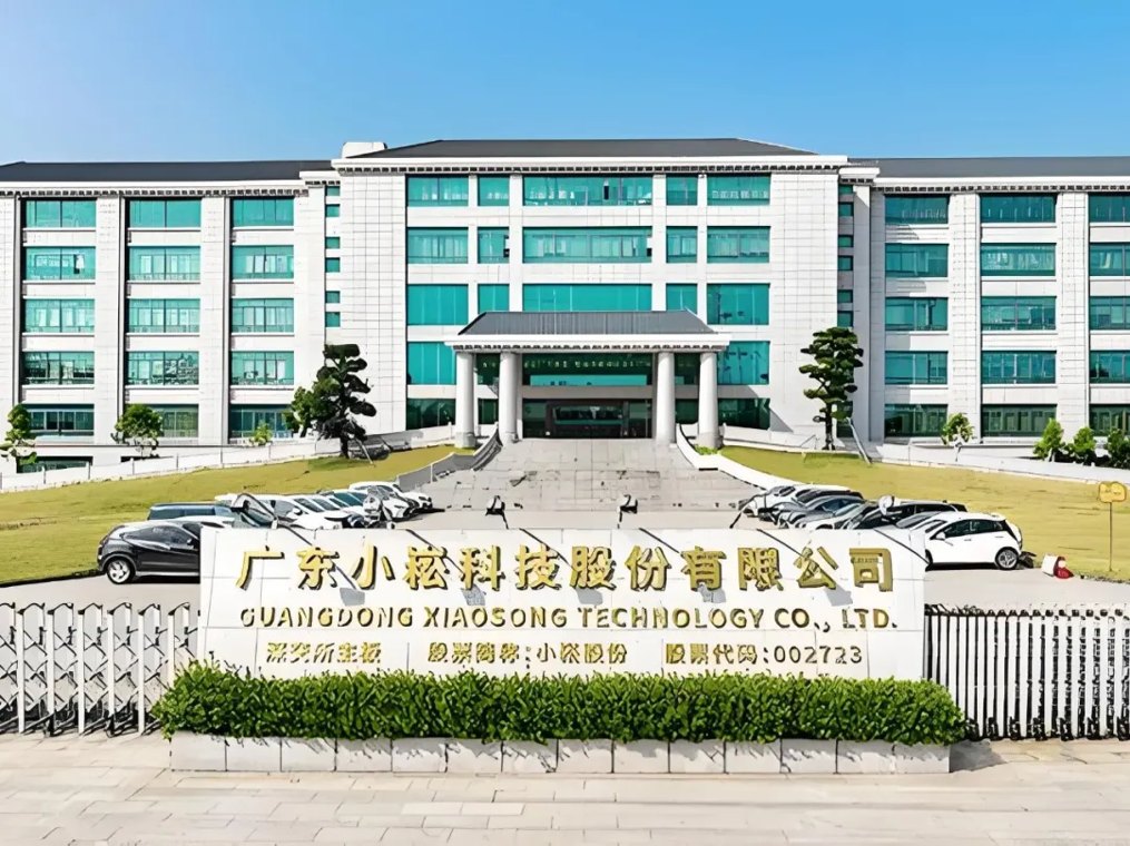 创始人往小崧股份塞董事，还没翻盘就被撵走了